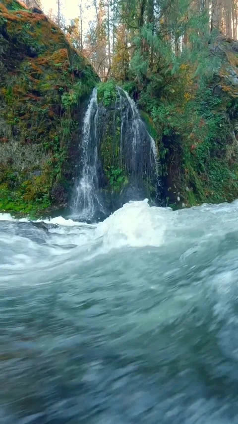 Beautiful waterfall in the forest Stock Footage 274297452