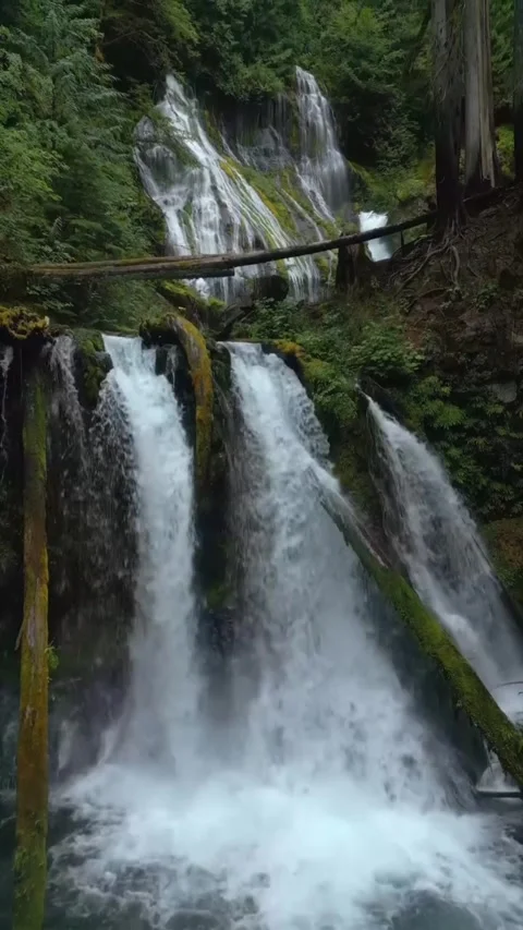 Beautiful waterfall in the forest Stock Footage 274334361