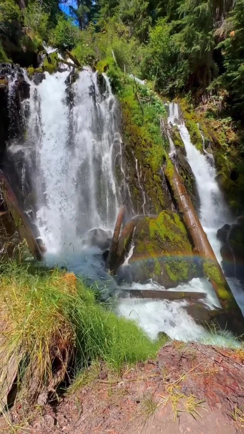 Beautiful waterfall in the forest Stock Footage 274690651