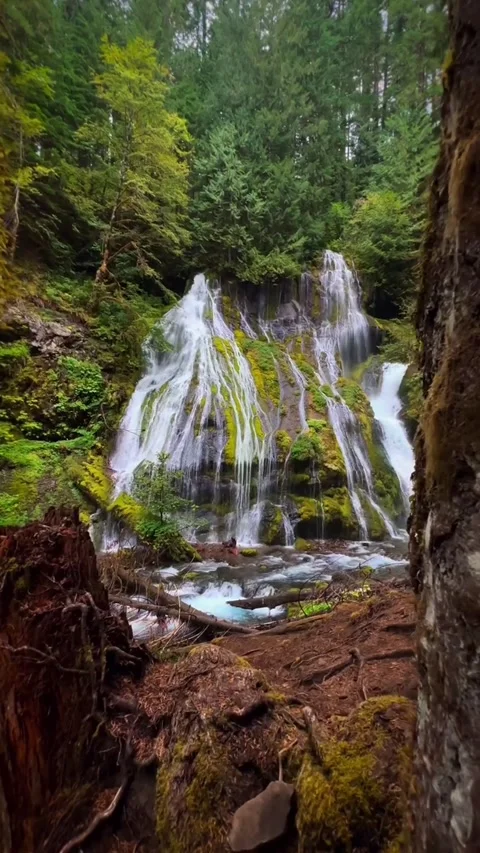 Beautiful waterfall in the forest Stock Footage 274868215