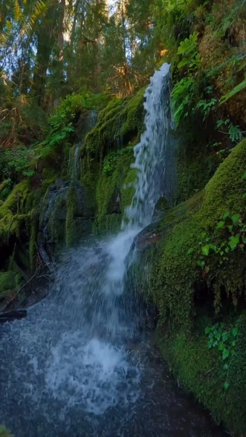 Beautiful waterfall in the forest Stock Footage 274929107