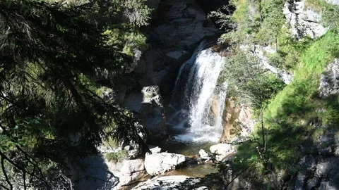 A beautiful waterfall in a forest in the mountains Video stock 219400505