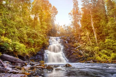 Beautiful waterfall in forest Stock Photos