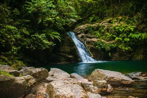 Beautiful waterfall in the forest Stock Photos