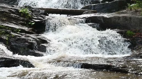 Beautiful waterfall in forest. River cascade. Water flows Video stock 202069183