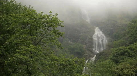 Beautiful waterfall in the forested mountains Stock Footage 50358556