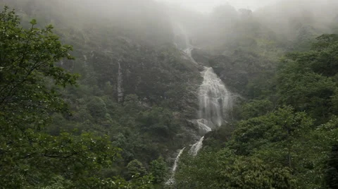 Beautiful waterfall in the forested mountains Stock Footage 50358574