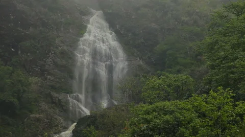 Beautiful waterfall in the forested mountains Stock Footage 50358606