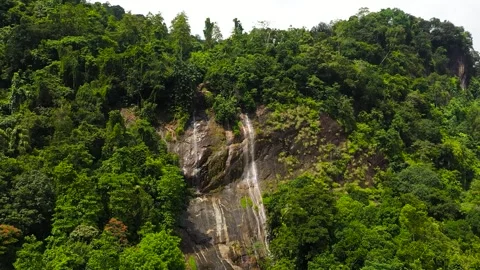Beautiful waterfall in green forest. Stock Footage 236514865