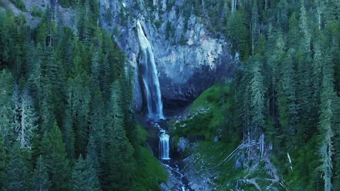 Beautiful Waterfall in Green Forest 스톡 동영상 246717265