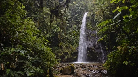 A beautiful waterfall in the heart of the Mashpi Cloud Forest of Ecuador - Stock Footage