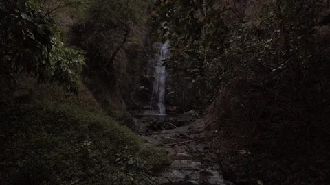 Beautiful waterfall hidden in forest Video stock 87307562