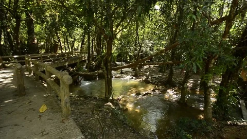 Beautiful waterfall in a jungle. Stock Footage 104038438