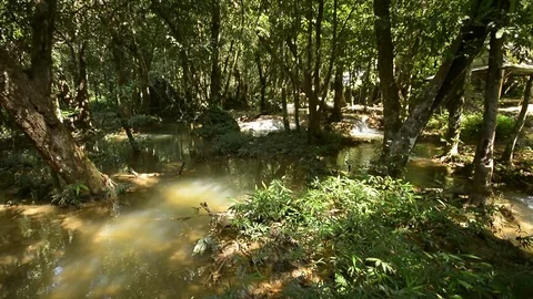 Beautiful waterfall in a jungle. Stock Footage 104038442