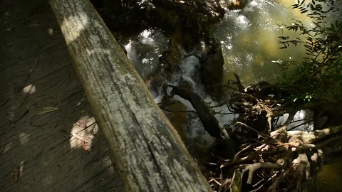 Beautiful waterfall in a jungle. Stock Footage 104038447