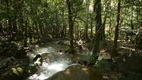 Beautiful waterfall in a jungle. Stock Footage 104038450