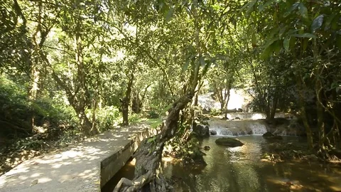 Beautiful waterfall in a jungle. Stock Footage 104038522