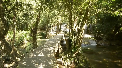 Beautiful waterfall in a jungle. Stock Footage 104038525
