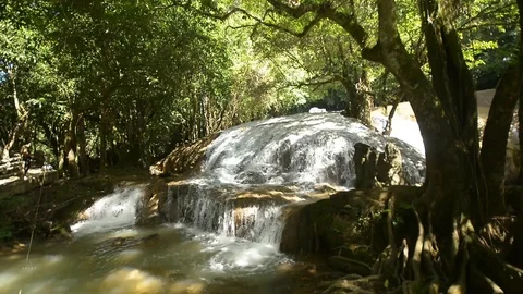 Beautiful waterfall in a jungle. Stock Footage 104038601