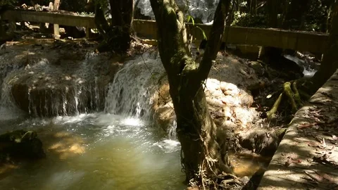 Beautiful waterfall in a jungle. Stock Footage 104038608