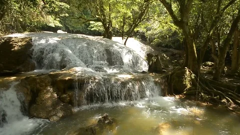 Beautiful waterfall in a jungle. Stock Footage 104038623