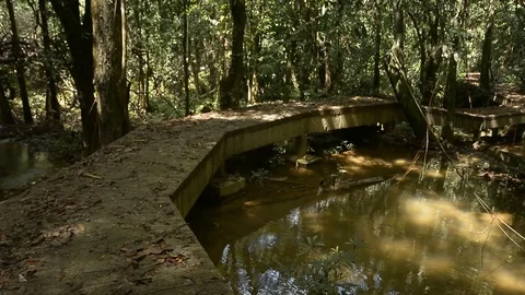 Beautiful waterfall in a jungle. Stock Footage 104038633