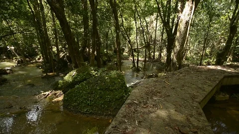 Beautiful waterfall in a jungle. Stock Footage 104038667