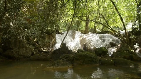 Beautiful waterfall in a jungle. Stock Footage 104038678
