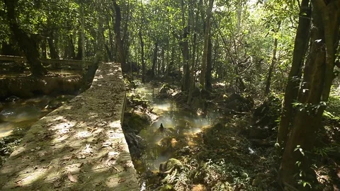 Beautiful waterfall in a jungle. 스톡 동영상 104038680