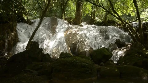 Beautiful waterfall in a jungle. Stock Footage 104038699