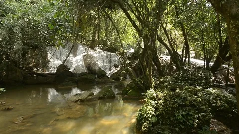 Beautiful waterfall in a jungle. Stock Footage 104038704