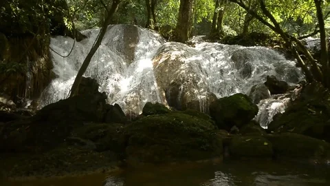 Beautiful waterfall in a jungle. Stock Footage 104038710