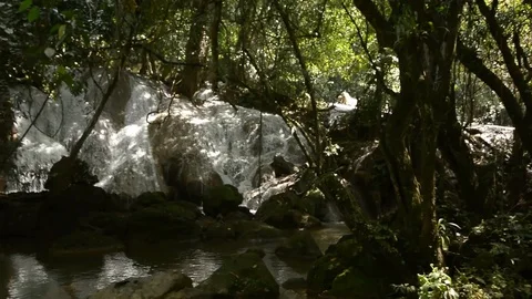 Beautiful waterfall in a jungle. Stock Footage 104038743