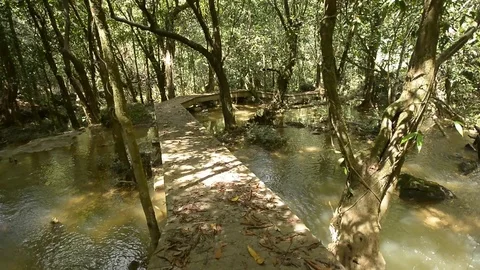 Beautiful waterfall in a jungle. Stock Footage 104038746