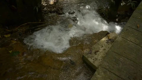 Beautiful waterfall in a jungle. Stock Footage 104038748