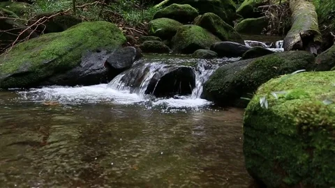 Beautiful waterfall landscape. Waterfall in forest Stock Footage 81609557