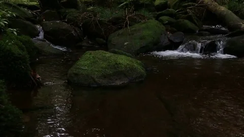 Beautiful waterfall landscape. Waterfall in forest Stock-Footage 81609562