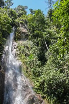 Beautiful waterfall in the middle of the forest Stock Photos