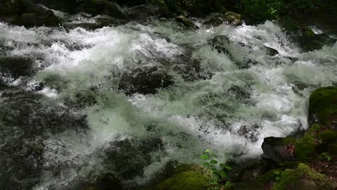 A beautiful waterfall in the mountain Stock Footage 275182488