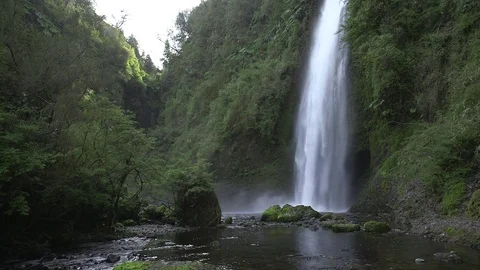 Beautiful waterfall in mountain forest Stock Footage 79824737