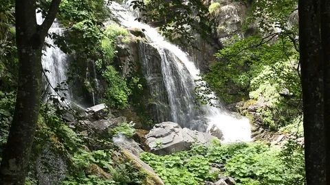 A beautiful waterfall in the mountains Video stock 99314449