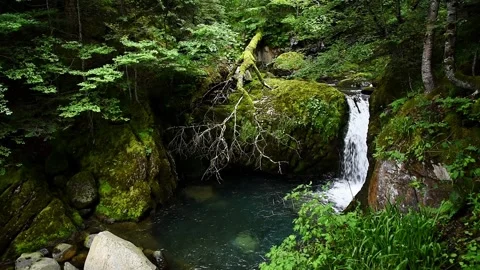 Beautiful waterfall in the mountains. Stock-Footage 167902685