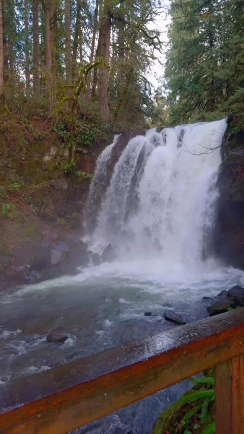 Beautiful waterfall in the mountains Video stock 273868123