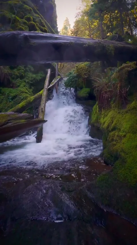 Beautiful waterfall in the mountains Stock Footage 273980671