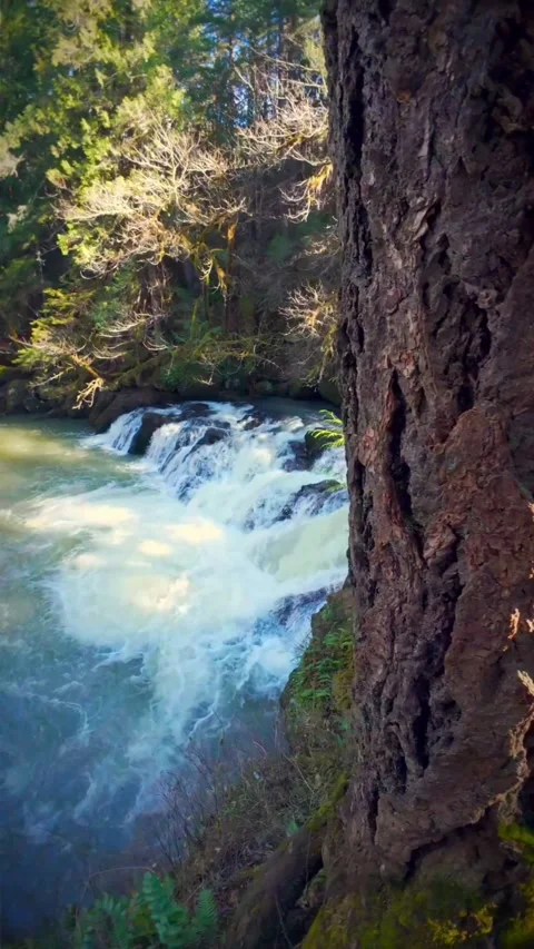 Beautiful waterfall in the mountains Stock Footage 274040305
