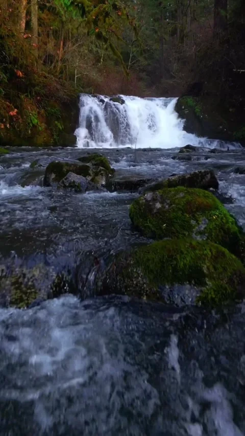 Beautiful waterfall in the mountains Stock Footage 274040704