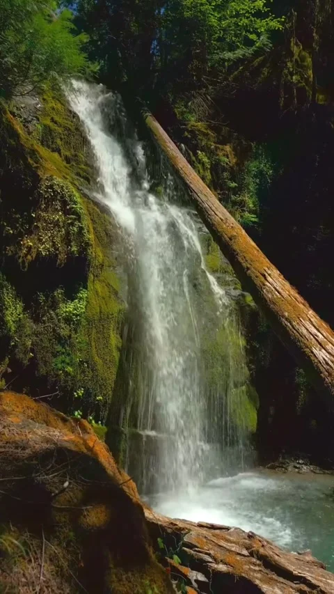Beautiful waterfall in the mountains Stock Footage 274044585