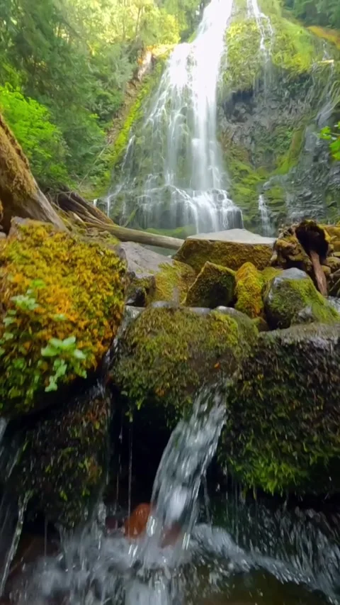 Beautiful waterfall in the mountains Stock Footage 274867713