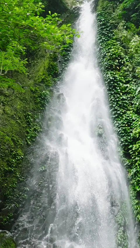A beautiful waterfall in the mountains Stock Footage 288626484