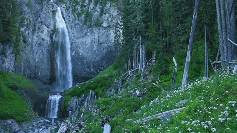 Beautiful Waterfall in Mountains. Slow Motion 스톡 동영상 246717264